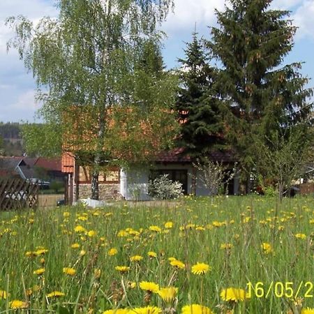 Ferienhaus Harz Villa Allrode Eksteriør billede