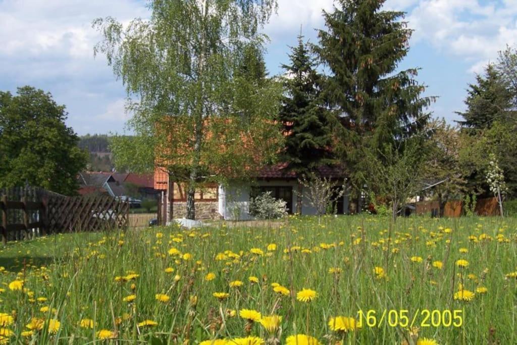 Ferienhaus Harz Villa Allrode Eksteriør billede