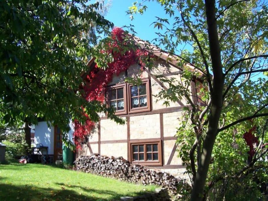 Ferienhaus Harz Villa Allrode Eksteriør billede